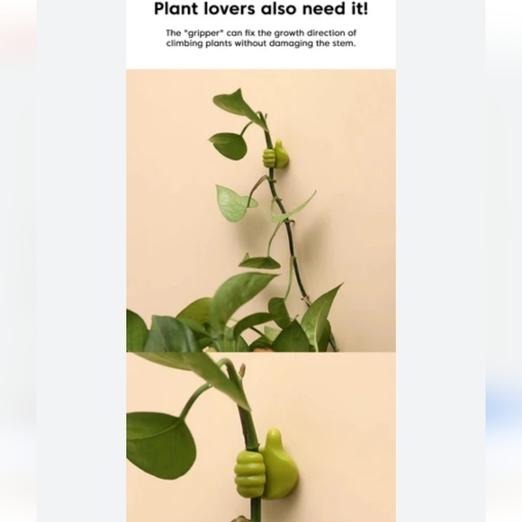 Plant stem holder 💚 - Picture 6 of 7